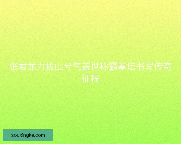 张君龙力拔山兮气盖世称霸拳坛书写传奇征程